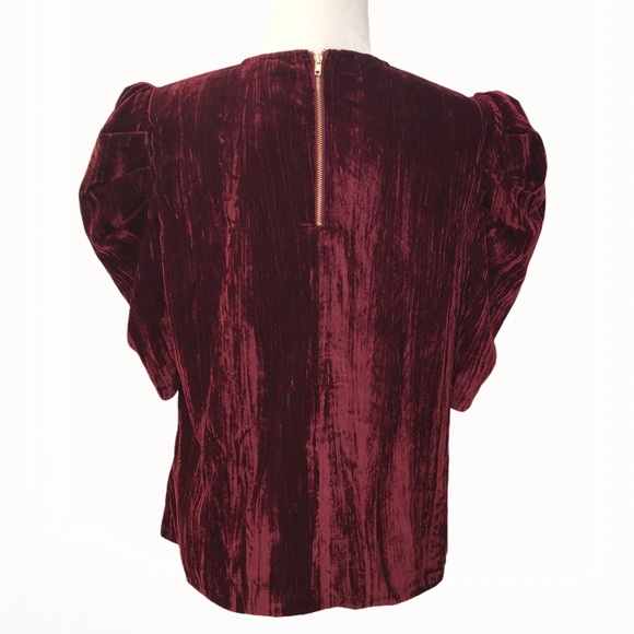 Leyden Velvet Top - Size: L - Picture 12 of 16
